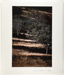 Ralph GIBSON: St. Bart’s, French West Indies, 1983 / Cibachrome / SIGNED!