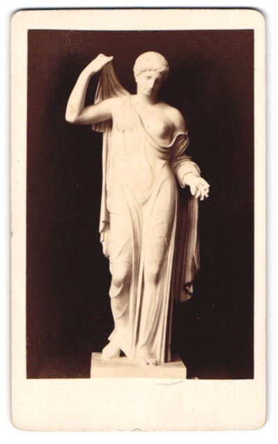 Photograph Venus Genitrix, Collection de Sculptures