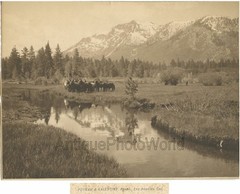 Horses in mountain valley antique art photo by Putnam and Valentine California