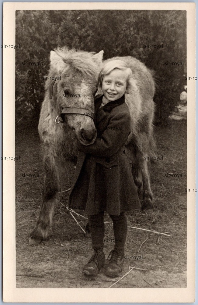 Little Girl and Little Horse Make Friendship – Photo Postcard 9x14cm