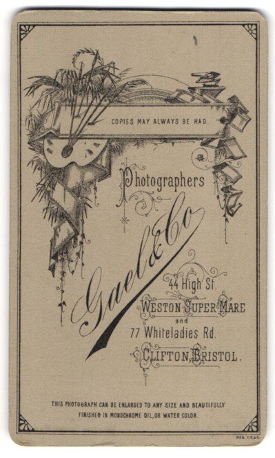 Photograph Gael & Co., Weston Super Mare, Painting Palette and Palm Leaves Behind B