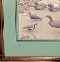 Frank Klay Sepia Photograph Signed «Mason’s» Decoys, Shorebirds 29½» x 26″ LARGE