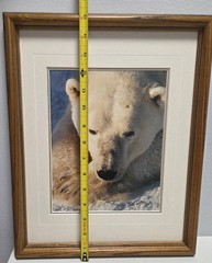 Thomas D. Mangelsen’s «Cool Hand Luke» Polar Bear, 215/950, Signed & Framed