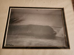 Malou Mallison Signed Photograph Hawaii Surfing
