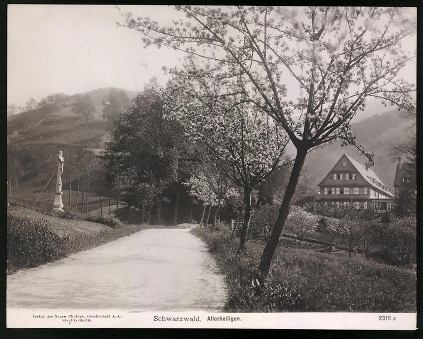 Photography NPG, Berlin-Steglitz, view of All Saints/Black Forest, street m