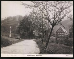 Photography NPG, Berlin-Steglitz, view of All Saints/Black Forest, street m