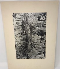 Vintage Matted Black & White Photography Nature 16” x 20” Pacific NW Photo Art