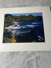 Coastal Ocean Waves Landscape Print Matted 16×20 Crescent Board Signed KFox