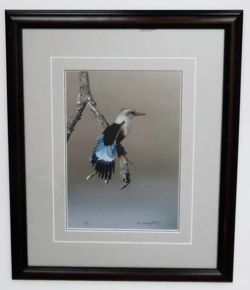Sign Thomas Mangelsen Colors of the Tarangire Kingfisher Original Photo 126/2500