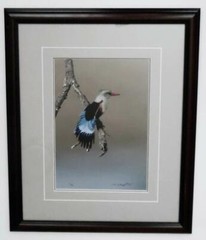 Sign Thomas Mangelsen Colors of the Tarangire Kingfisher Original Photo 126/2500