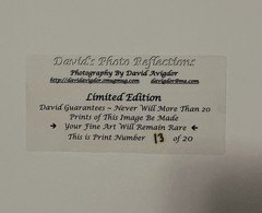 Wall Art Artist Signed Limited Edition # 13 Of 20 “Paddling In Paradise” 16 x 12