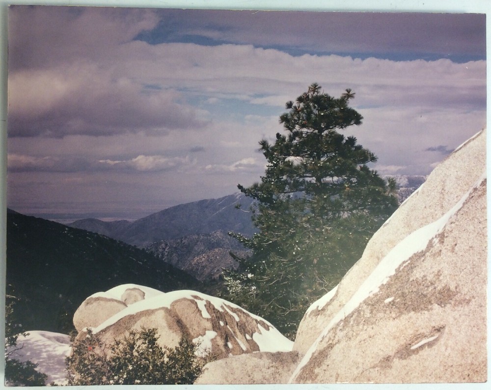 Pine Tree Mountain Sky Clouds Photo Art Print On Board Unknown Artist FoundArt