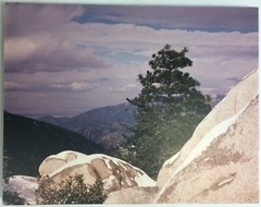 Pine Tree Mountain Sky Clouds Photo Art Print On Board Unknown Artist FoundArt