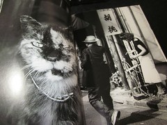 Daido MORIYAMA & Nobuyoshi Araki Photo Book ARAKI SHINJUKU MORIYAMA 2005 JAPAN