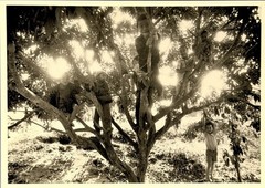 Sebastião Salgado Art Photo Print Card – Thailand, 1987