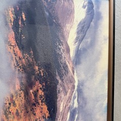 Framed Mountain Landscape Photo Print Snow Peak Gold Aspen Forest