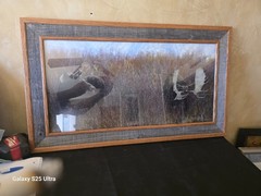 Tim DePuydt Framed Moose Photo Print 18×31 Rustic Montana Cabin Wildlife Art VTG
