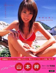 Azusa Yamamoto Photo Book Azumilk Japanese Female Idol Collectible From Japan