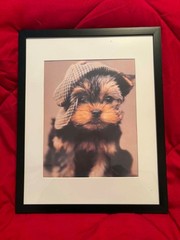 Vintage Dog in A News Boy Cap.Framed Color Photo Reprint 16″x17″. Frame 15X12″.