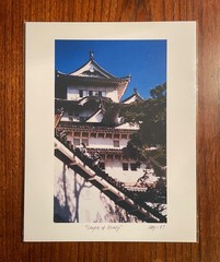 Original photographic print «Layers of Himeji» by Michael Blumenstock
