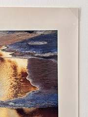ELIOT PORTER «River edge at sunset, below Piute Rapids» (1962) Signed C-Print