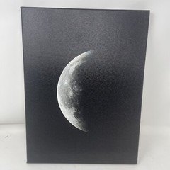 Set of 4 Custom Phases of the Moon Photographs on Canvas Wieco Art