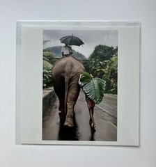Magnum Square Print by Steve McCurry: Man Walks Behind an Elephant (Signed)