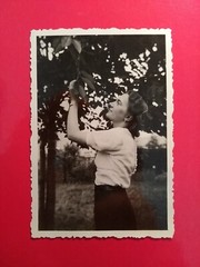 Altes Foto antik wunderschöne Frau Natur Baum dream Woman Romantik old Photo art