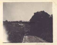 Syracuse Sicily Italy Italia Photograph n2 Vintage Analog c1910