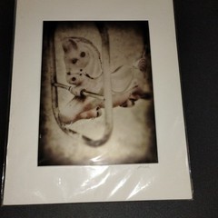 Custom Matted Photography by Scott Wheeler. Blk/White Rocking Horse