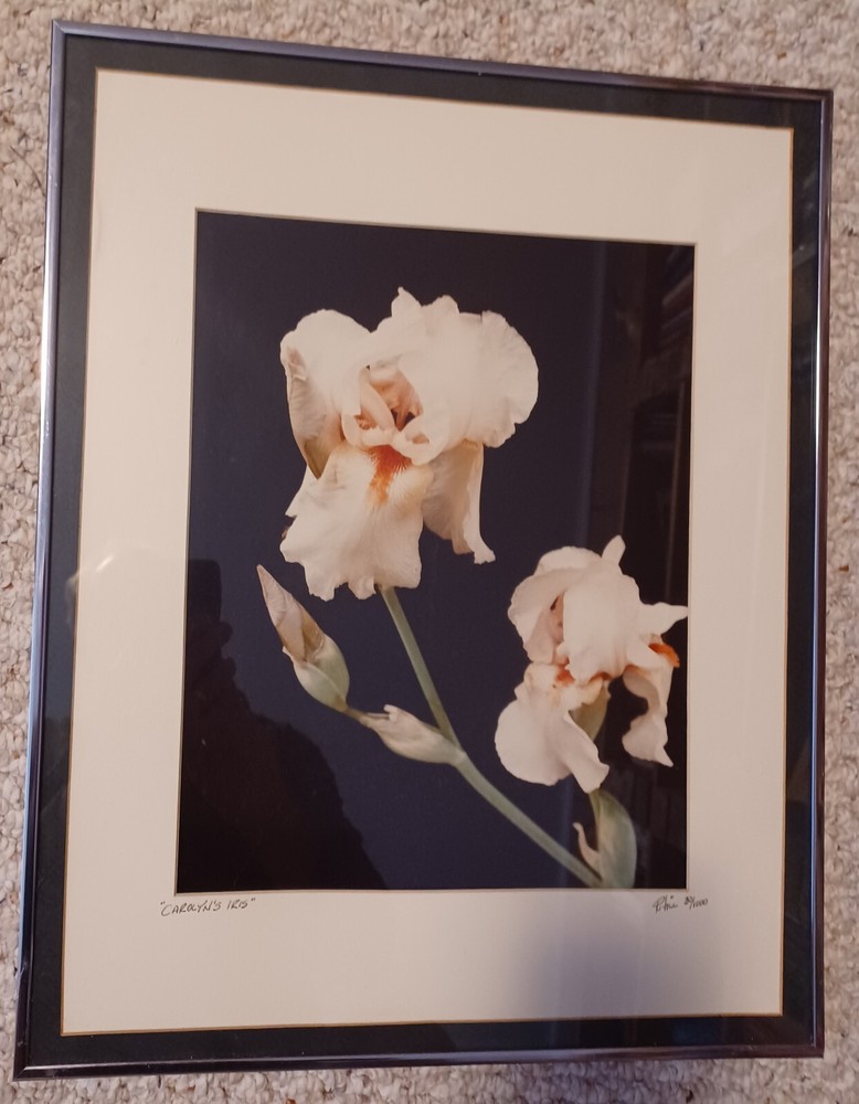 PETE HILL Fine Art Photography «CAROLYN’S Iris» Framed and Matted. Ltd. Edition