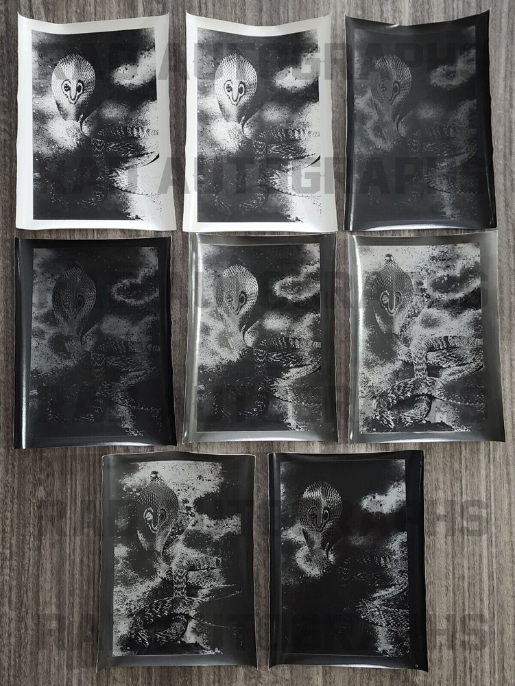 Lot of 8 Cobra Snake Solarization 8×10 Photo Prints ART Lindy Sutton Estate