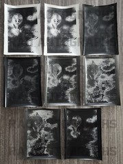 Lot of 8 Cobra Snake Solarization 8×10 Photo Prints ART Lindy Sutton Estate