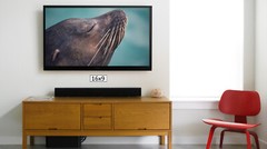 Sea Lion Headshot, High Resolution Image, Many Formats, TV Art