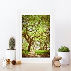Downtown Savannah, Georgia – Pulaski Square – Photography Fine Art Prints