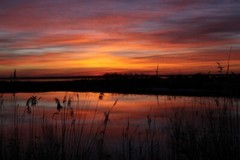 Sunrise or Sunset Photo, Pick One Image – Various Sizes