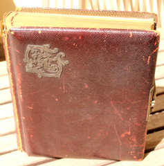 Antique Photo Album 63 Sepia Portrait Photos Women Family Rabin France 1888