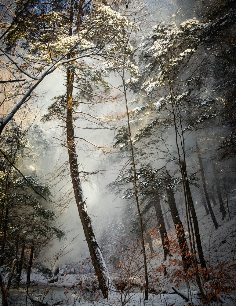 LANDSCAPE 8.5×11 or 13X19 COLOR BORDERLESS GLOSSY PRINT (FREE SHIPPING)