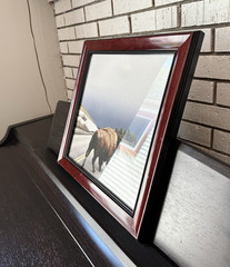 Framed Color Wildlife Photograph Bison on Snowy Mountain Road Landscape