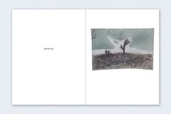 TODD HIDO Nazraeli One Picture Book SET 59 Cracked Trees Signed