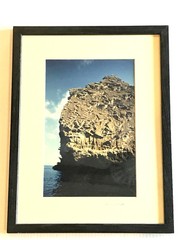 Galapagos photo «Monolith Intaglio» 2/100 Framed 17 x 13 Signed A Mishkin 1997