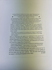 Padgett McFeely 3 1995 Signed And Numbered Prints