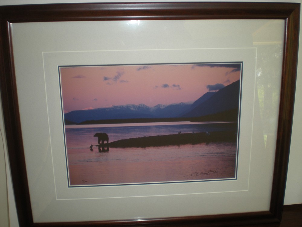 Thomas Mangelsen limited edition signed out of print «Twilight on the Peninsula»