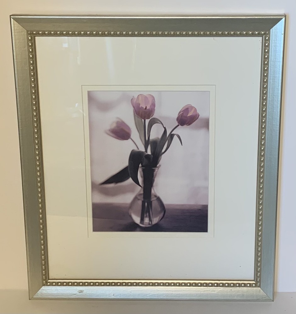 Purple tulip framed photo