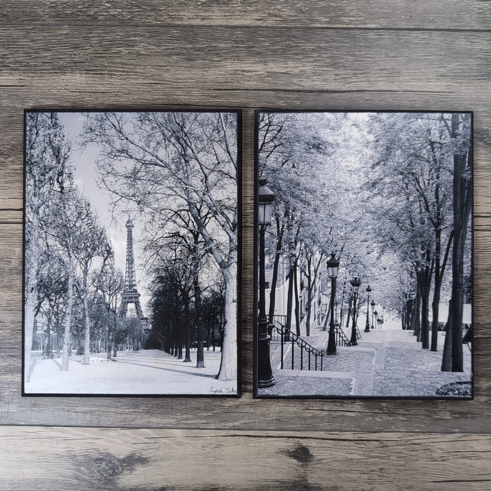 Set of 2 Cyndi Schiek Pictures On Wood 8×6” Paris City Scape Photography B&W