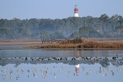 Lighthouse Photo, Pick One Image – Various Sizes