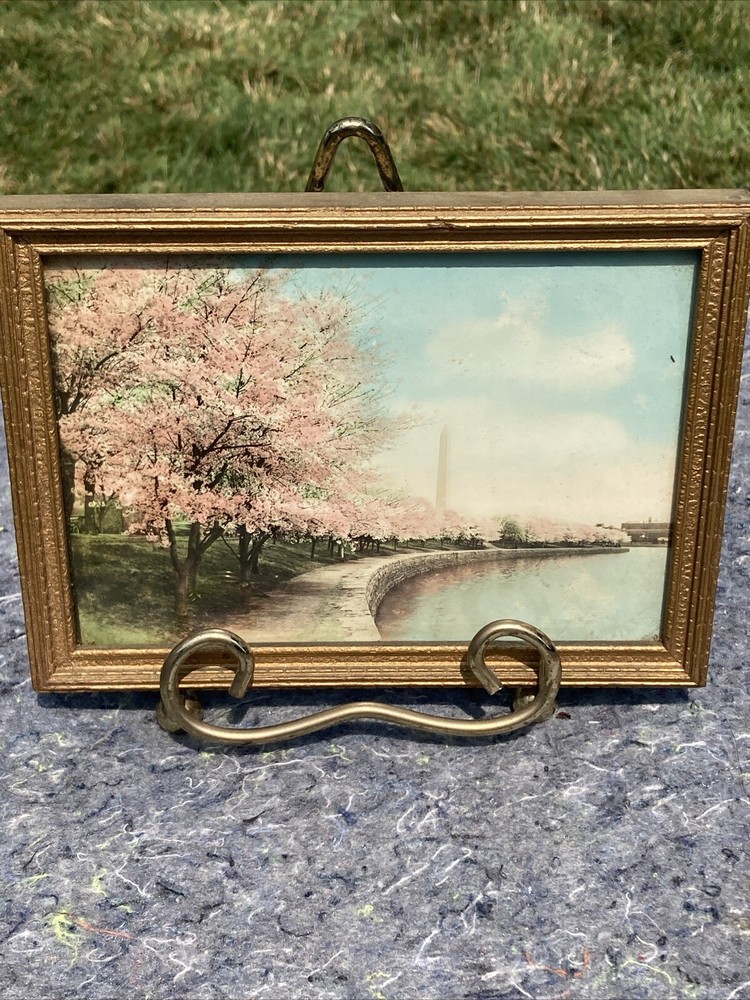 Royal Carlock / Washington Monument, Washington D.C. (hand painted photo)
