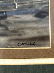 Framed 1983 Wood Duck Photography By Wildlife Photographer Pat Gerlach