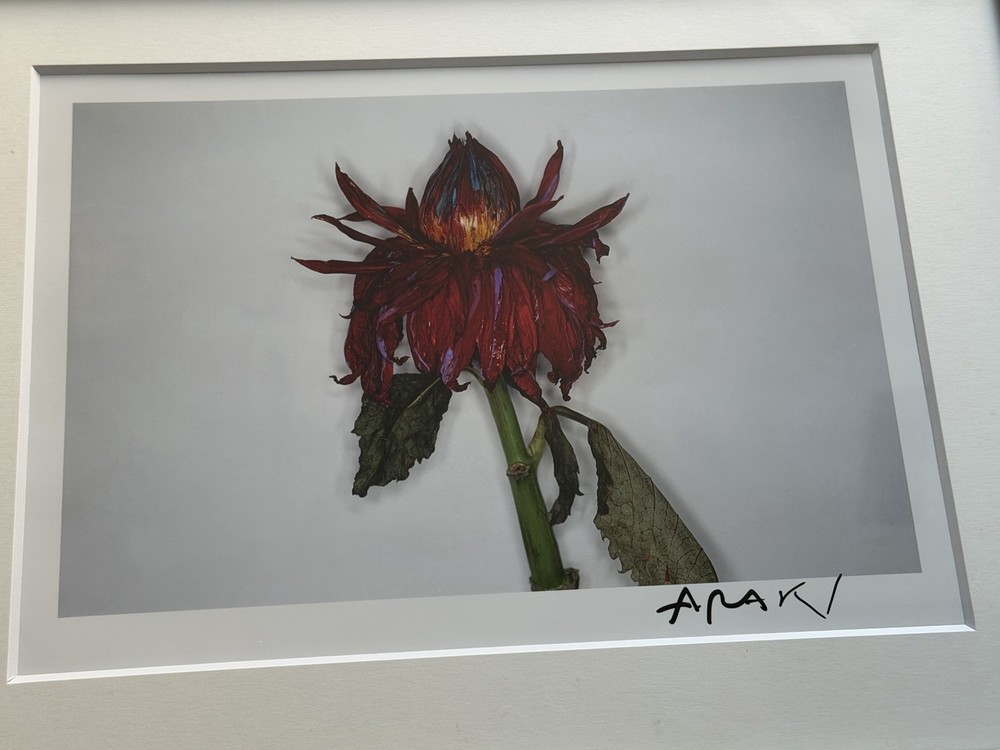 🎈RARE SIGNED Nobuyoshi Araki – Painting Flower, Original, Limited Ed Print 2004