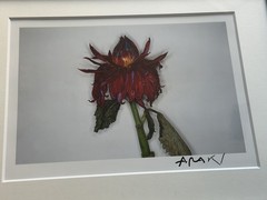 🎈RARE SIGNED Nobuyoshi Araki – Painting Flower, Original, Limited Ed Print 2004
